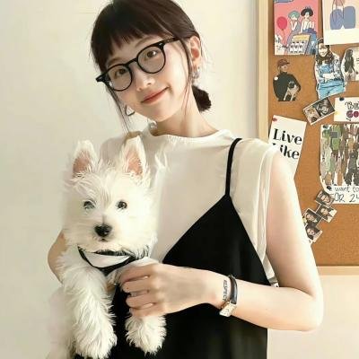 明月守护者